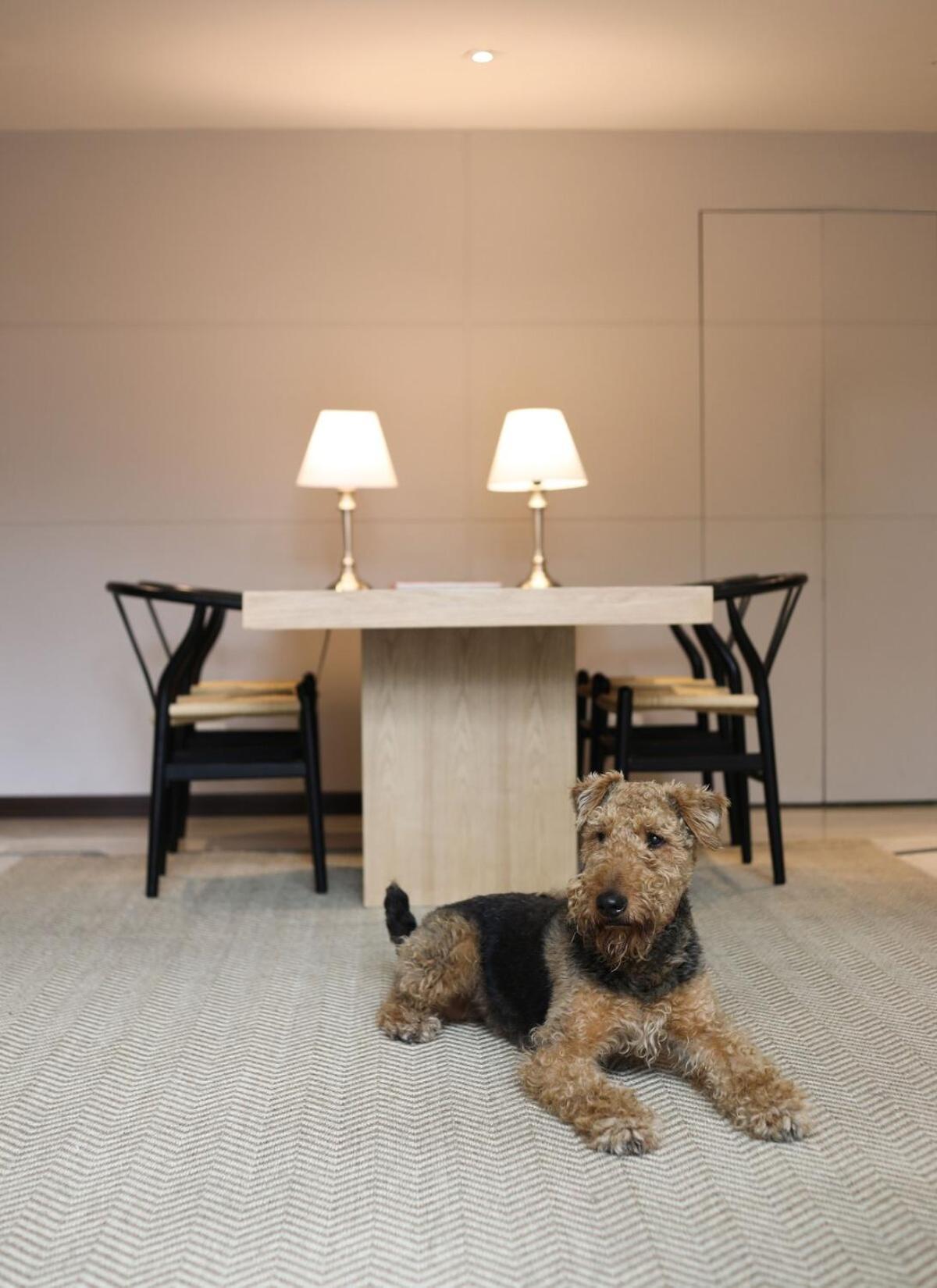 Modern Comfort In The Heart Of Zona G 202 公寓